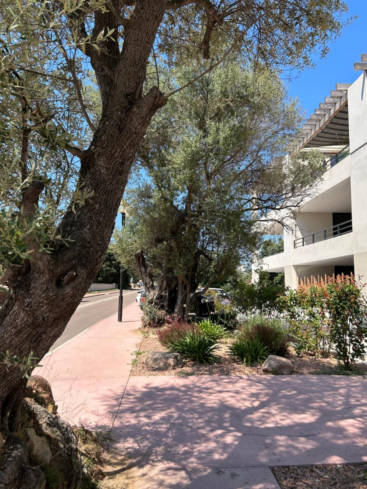 Sognu Di Serena - Superbe Appartement Avec Parking Gratuit Sur Place 维琪奥港 外观 照片